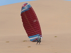 20251231 153128 PC310154 TGR Namibia Langstrand